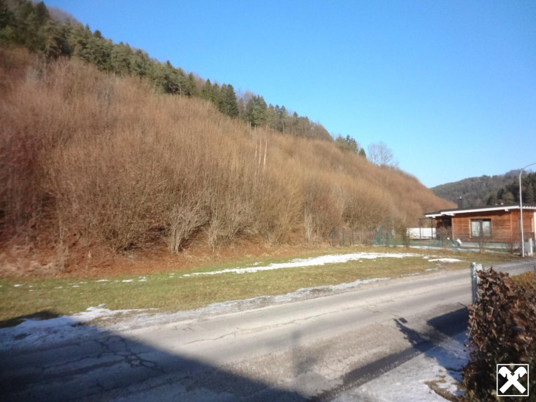 Grundstück - 2832, Ofenbachgraben - GRUNDSTÜCK OHNE BAUZWANG IN RUHIGER LAGE!