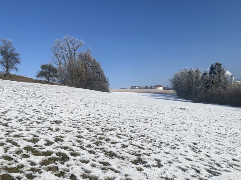 Grundstück - 4542, Nußbach - Traumhaftes Baugrundstück in 4542 Nußbach – Ihr Eigenheim wartet auf Sie!