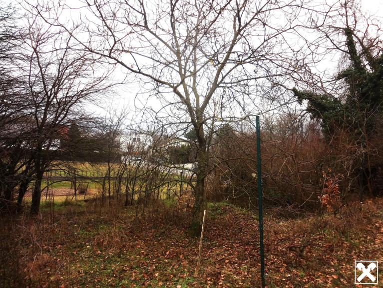 Grundstück - 7051, Großhöflein - Verbuschtes Baugrundstück in Hanglage ohne Bauzwang !