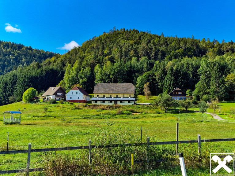 Haus - 9155, Neuhaus - Ein Pferdeparadies der Extraklasse! Arrondierte Landwirtschaft mit Reitanlage und hohem Wohnkomfort