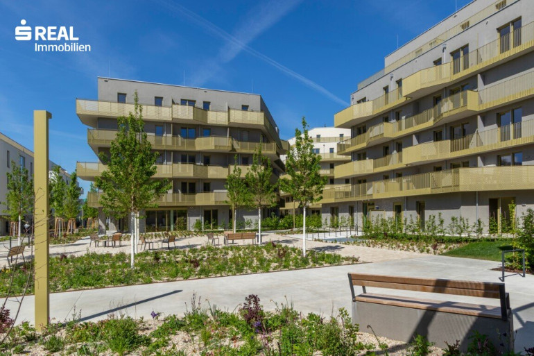 Wohnung - 1210, Wien - Hirschfeld - Ihr neues Zuhause im Grünen - anfragen, besichtigen, einziehen - 41 bis 96 m²