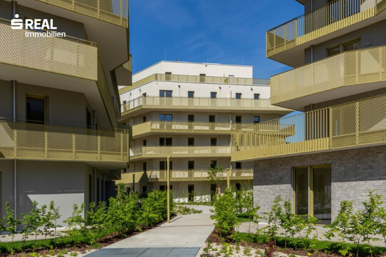 Wohnung - 1210, Wien - Hirschfeld - Ihr neues Zuhause im Grünen - anfragen, besichtigen, einziehen - 41 bis 96 m²