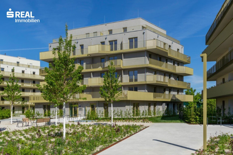 Wohnung - 1210, Wien - Hirschfeld - Ihr neues Zuhause im Grünen - anfragen, besichtigen, einziehen - 41 bis 96 m²