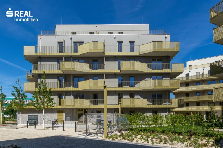 Wohnung - 1210, Wien - Hirschfeld - Ihr neues Zuhause im Grünen - anfragen, besichtigen, einziehen - 41 bis 96 m²