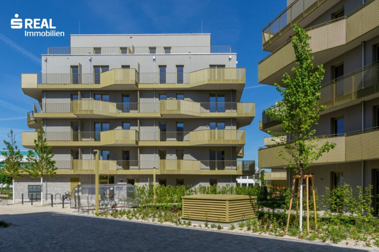 Wohnung - 1210, Wien - Hirschfeld - Ihr neues Zuhause im Grünen - anfragen, besichtigen, einziehen - 41 bis 96 m²