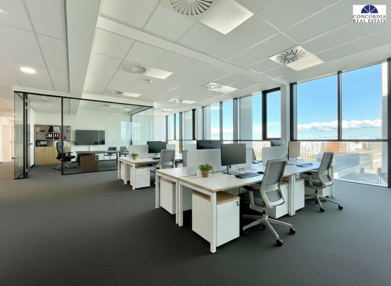 Büro / Praxis - 1220, Wien - Seestadt -Flexibles Büro auf 154 m²  - direkte U2 Anbindung