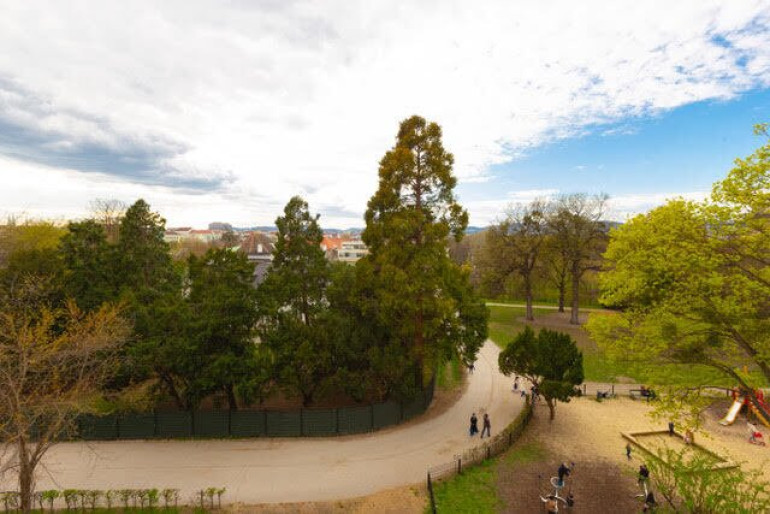 Wohnung - 1020, Wien - Castellezgasse - Erstbezug nach Generalsanierung - 2 Zimmer Stilaltbau mit Blick in den Augarten