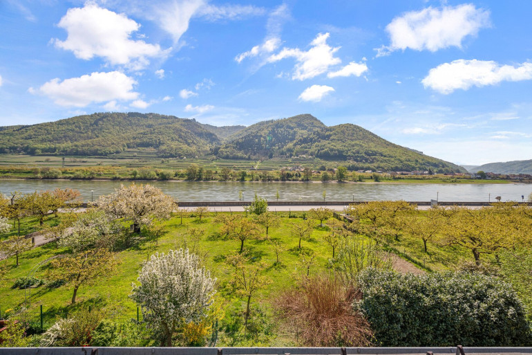 Haus - 3620, Spitz - Aufwachen mit Donaublick: Ihr Logenplatz in Spitz an der Donau
 – Leben, wo die Wachau am schönsten ist