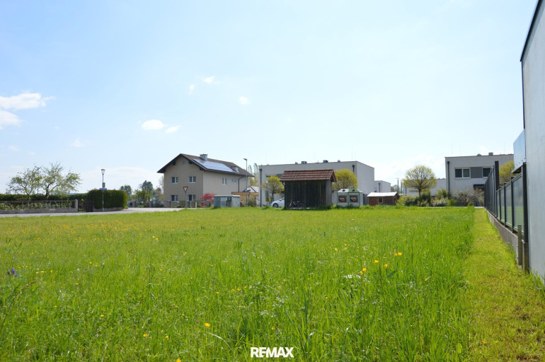 Grundstück - 3372, Blindenmarkt - Ebener Baugrund ohne Bauverpflichtung