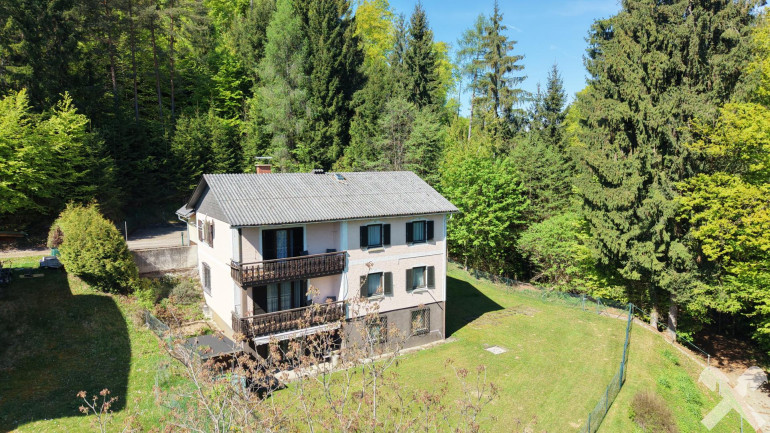 Haus - 9081, Reifnitz - Ruhelage am Wörthersee