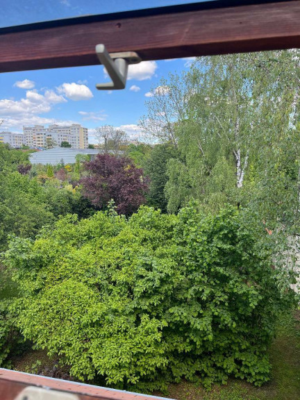 Wohnung - 8010, Graz - Ruheoase mitten in Graz – Dachgeschosswohnung mit 2 Zimmer und extra Küche - T22