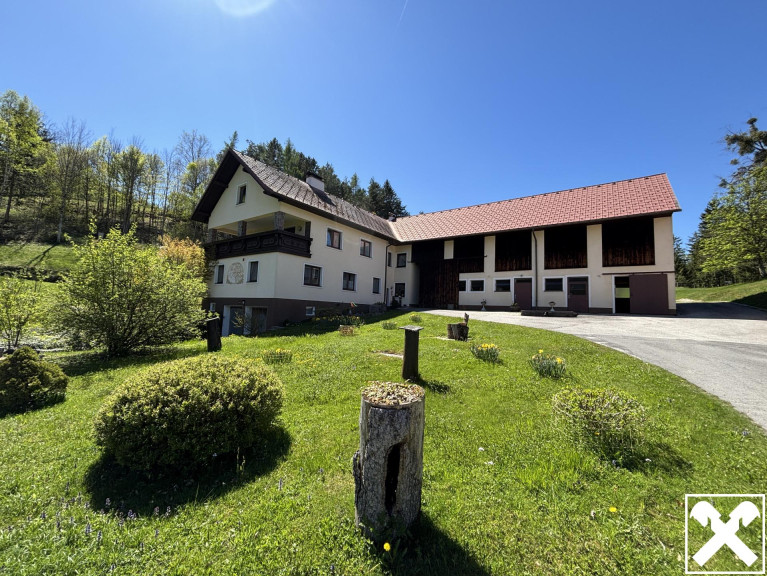 Haus - 4591, Ramsau - Sehr gepflegtes Bauernhaus in Alleinlage