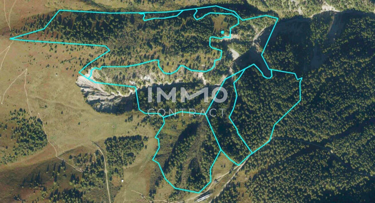 Land und Forstwirtschaft - 9981, Kals am Großglockner - Waldparzellen am Fuße des Großglockners