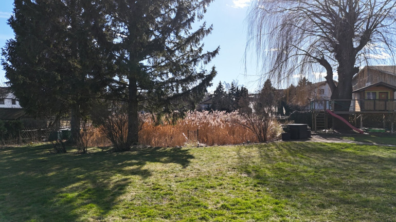 Grundstück - 2753, Dreistetten - Dreistetten - herrliches Baugrundstück in sonniger Lage