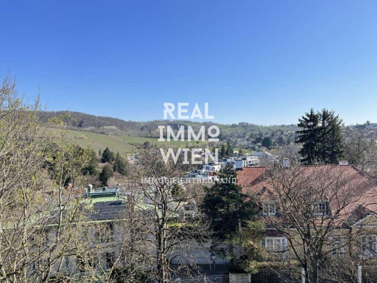 Wohnung - 1190, Wien - Stilvolle Maisonette in Toplage – inklusive Garten und Weinbergblick
