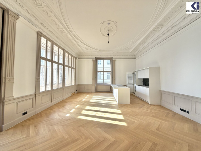 Wohnung - 1090, Wien,Alsergrund - 360 TOUR // REPRÄSENTAVIVE STILETAGE