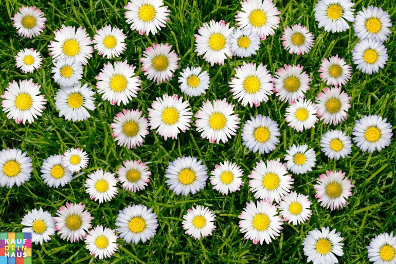 Wohnung - 3500, Krems an der Donau - NÄHE STEINER TOR - STADTGRABEN 7A!