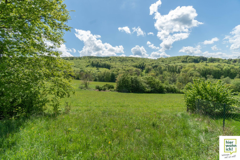 Grundstück - , keine Angabe - Rarität: Traumhafter Baugrund für Villa, wenige Minuten von der Stadtgrenze Wien entfernt