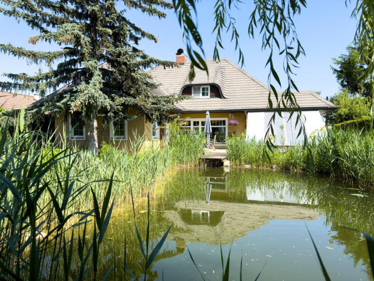 Haus - 1220, Wien - Stilvoll zeitloses Einfamilienhaus | 1220 Wien | 1000 m² Grundstück mit Schwimmteich