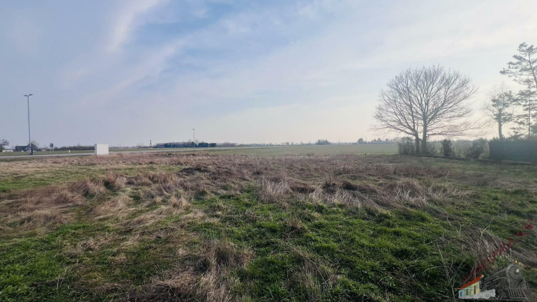 Grundstück - 2201, Seyring - NEU! BAUTRÄGER aufgepasst! Baugrund nähe Wien!