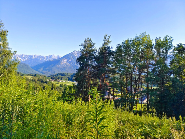 Grundstück - 9161, Maria Rain - *RARITÄT* Baugrundstück mit Panorama & Sonne – Toppelsdorf