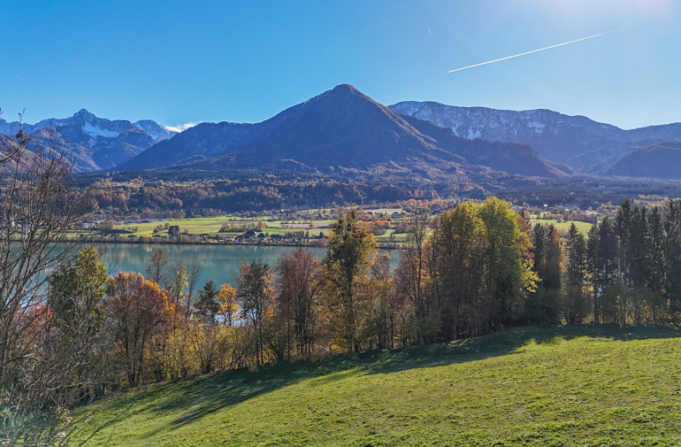 Grundstück - 9072, Ludmannsdorf - Traumgrundstück für Individualisten in sonnenverwöhnter Lage