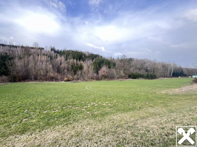 Grundstück - 4782, Sankt Florian am Inn - Waldfläche in St. Florian zu verkaufen!