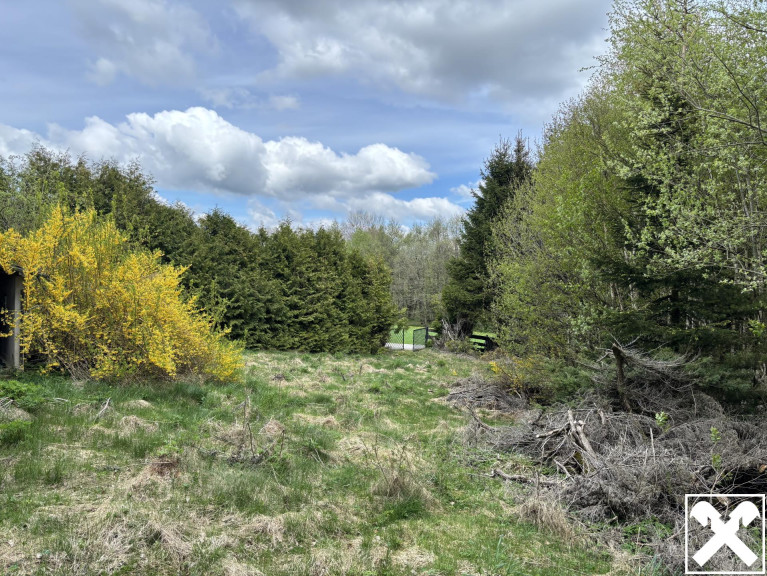 Grundstück - 4202, Davidschlag - Baugrundstück ohne Bauverpflichtung