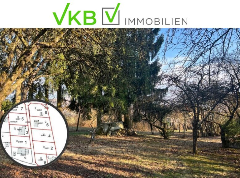 Grundstück - 4211, Spattendorf - Großzügiges Grundstück in Spattendorf – Gemeinde Alberndorf in der Riedmark (GST 2438/3)