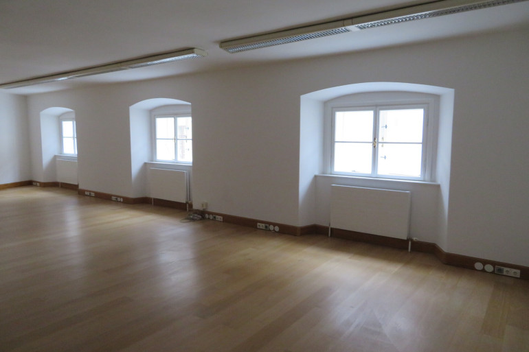 Büro / Praxis - 1010, Wien - Einzigartige Bürofläche im prachtvollen Barockpalais - zu mieten 1010 Wien