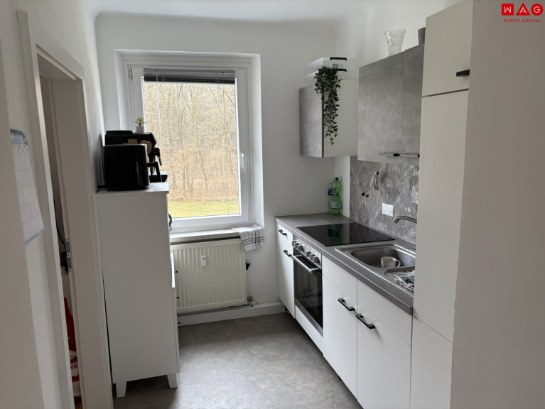 Wohnung - 4400, Steyr - Ruhige Wohnidylle mit herrlichem Grünblick – lichtdurchflutete 3-Zimmer-Wohnung mit kleinem französischen Balkon und idealer Lage im Herzen von Münichholz!