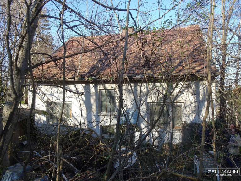 Grundstück - 2122, Riedenthal - Baugrundstück im Weinviertel – Ruhe, Weitblick und Nähe zur Stadt | ZELLMANN IMMOBILIEN