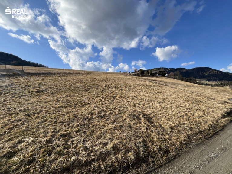 Grundstück - 8813, Sankt Lambrecht - Baugrundstück mit flexibler Grundstücksgröße nahe Skigebiet Grebenzen