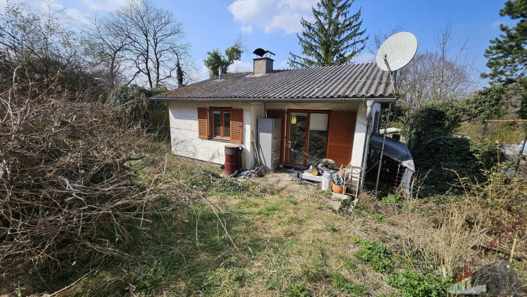 Grundstück - 3424, Wolfpassing - Wolfpassing 780m² Baugrundstück mit 1200m² Gärten und Wald