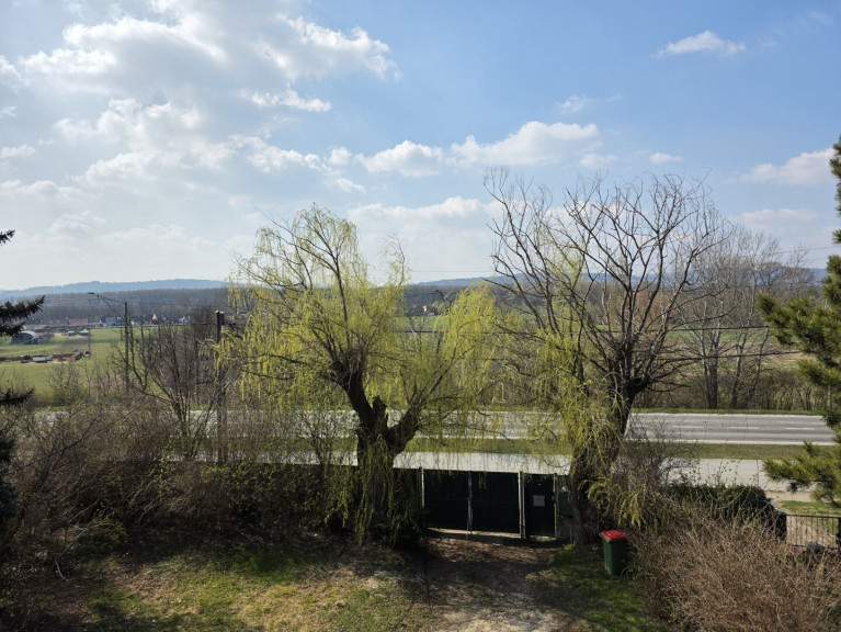 Grundstück - 2103, Langenzersdorf - JUWEL mit VISION: sehr GROSSES GRUNDSTÜCK - DIREKT am Fuße des BISAMBERG - WESTAUSRICHTUNG