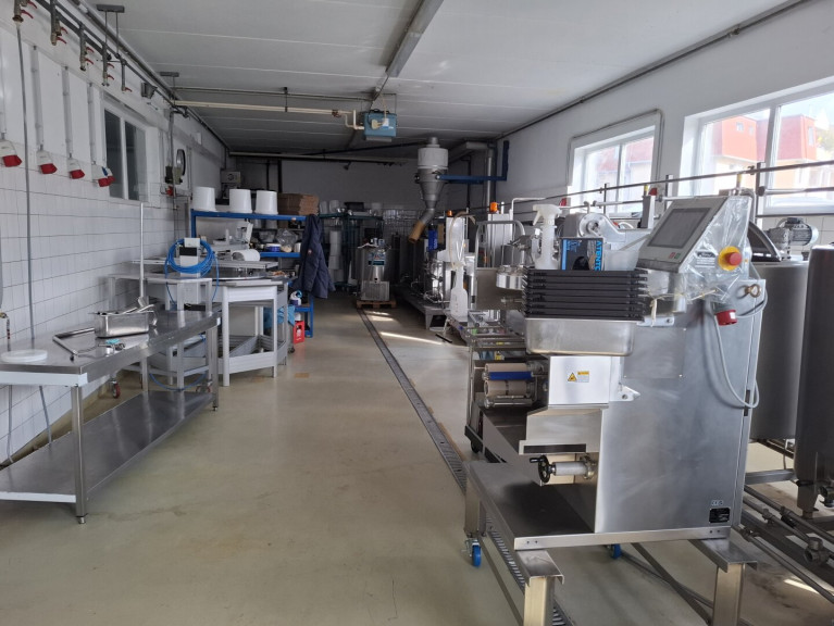 Halle / Lager / Produktion - 2353, Guntramsdorf - LAGER-PRODUKTIONSHALLE MIT GROSSZÜGIGER KÜHL UND TIEFKÜHLMÖGLICHKEIT GASTROTEL IMMOBILIEN