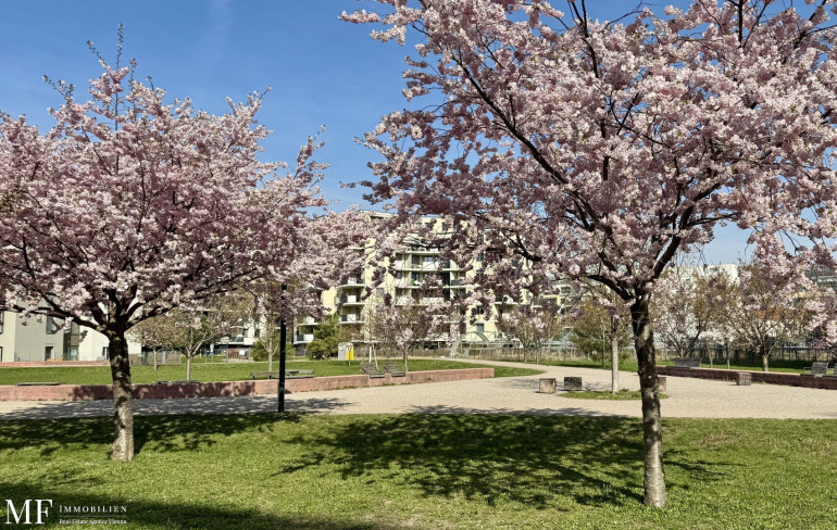 Wohnung - 1220, Wien - Zur Ruhe kommen,  im Kirschblütenpark