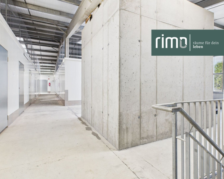 Halle / Lager / Produktion - 6840, Götzis - Lagerflächen von 5 - 250 m² für Privatpersonen und Unternehmen