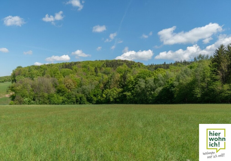 Grundstück - , keine Angabe - Idyllischer Baugrund für mehrere Häuser, 12 Minuten von der Stadtgrenze Wien entfernt