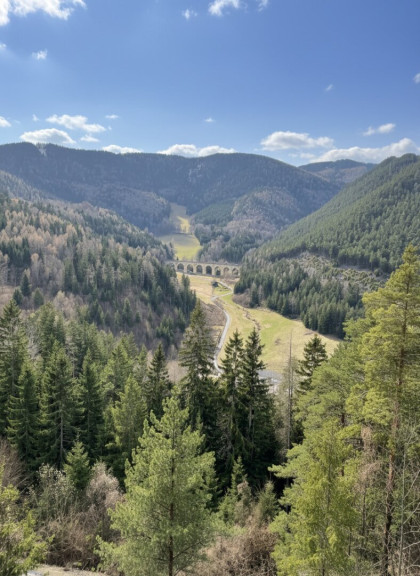 Wohnung - 2680, Semmering - Klein - aber fein - Charmante Ferienwohnung am Semmering