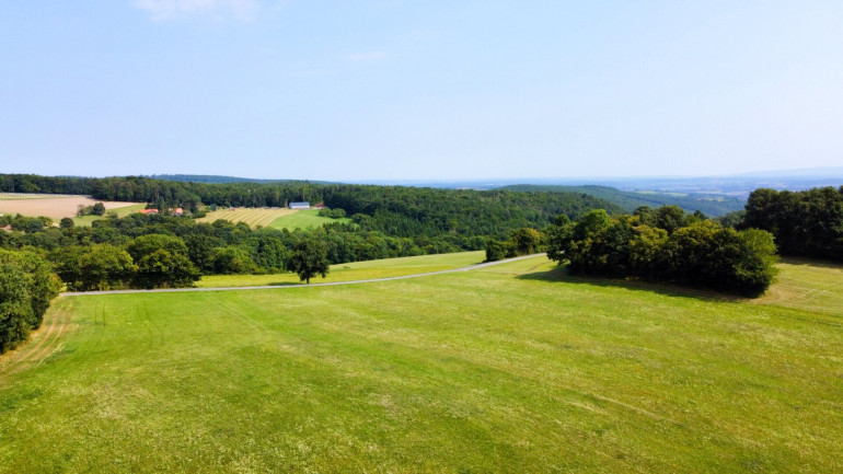 Grundstück - 2803, Schwarzenbach - Grundstück mit Baumbestand für landwirtschaftliche Zwecke | 60.053 m² | Schwarzenbach in der Buckligen Welt