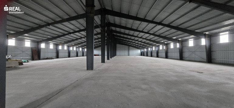 Halle / Lager / Produktion - 2272, Niederabsdorf - große Halle in Niederabsdorf