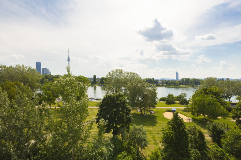 Wohnung - 1210, Wien - STEPHENSONGASSE -AN DER OBEREN ALTEN DONAU---2 ZIMMER DG-WOHNUNG MIT BALKON---