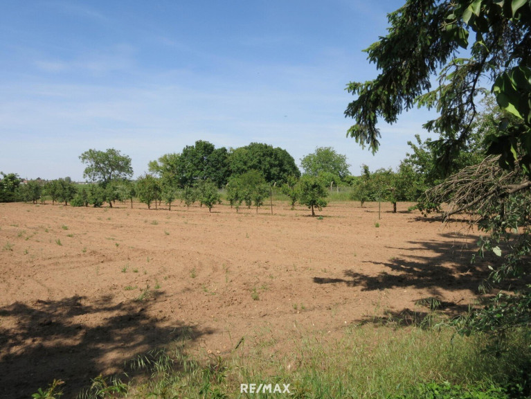 Grundstück - 2294, Breitensee - Großflächiges Baugrundstück bestehend aus 4 Parzellen !