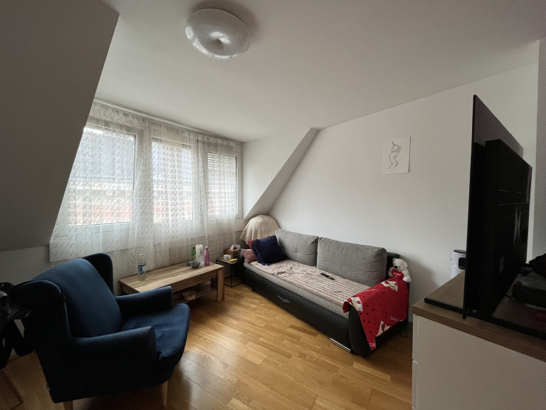 Wohnung - 1050, Wien - Helle 2 Zimmer Dachgeschoß Wohnung in bester Lage - 1050 Wien!