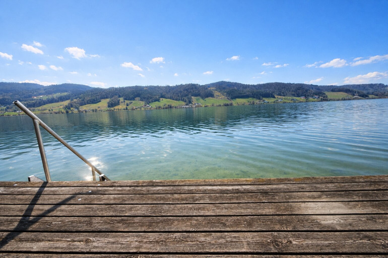 Wohnung - 4893, Zell am Moos - Seensucht am Irrsee – Gartenwohnung mit Badehütte