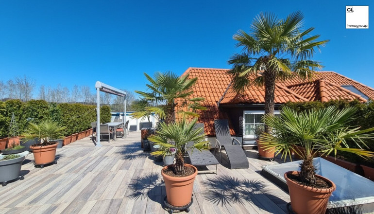 Haus - 5321, Koppl - Frühlingserwachen in Koppl bei Salzburg