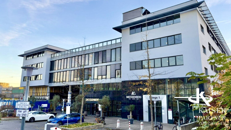 Büro / Praxis - 8020, Graz - GROSSRAUMBÜRO IN GRAZ EGGENBERG - PROVISIONSFREI