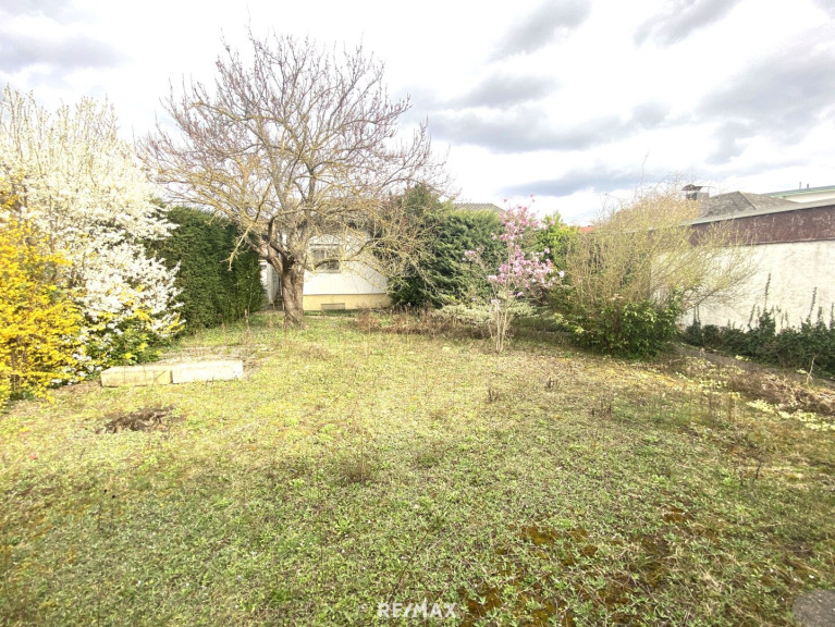 Grundstück - 1220, Wien - Grundstück in ruhiger Wohngegend mit Abrisshaus