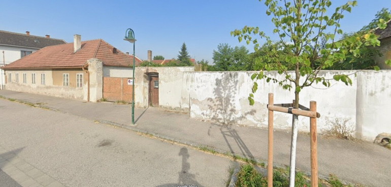 Grundstück - 2482, Münchendorf - 5.000m² entwicklungsfähiges Wohnbaugrundstück